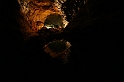 Kanary_2010 350
